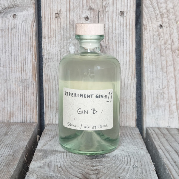 Experiment Gin