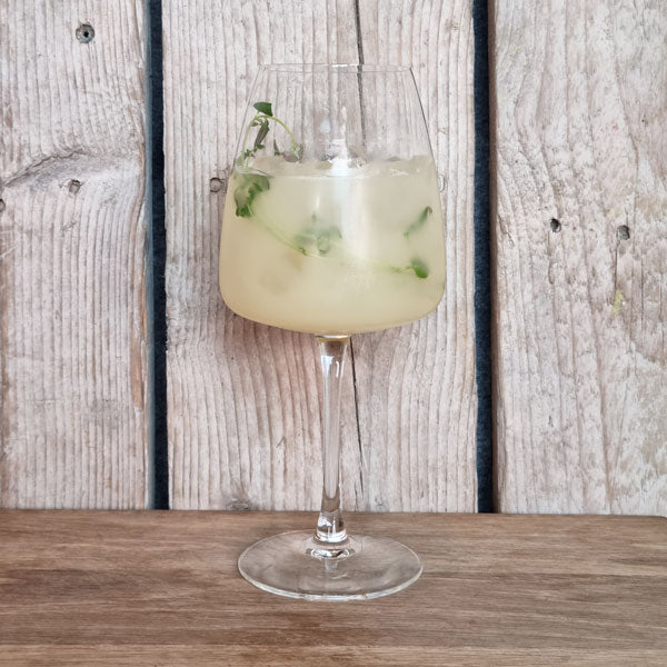 Indian Summer Gin & Tonic i glas