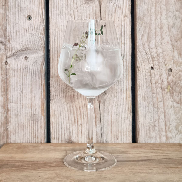 Mediterranean Gin & Tonic i glas