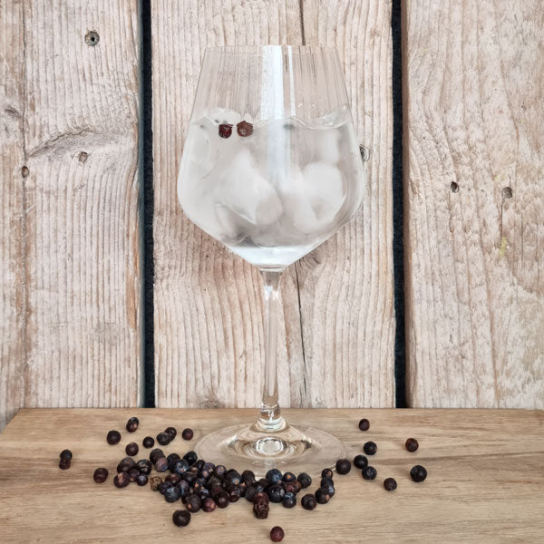 Capesthorne Gin & Tonic i glas